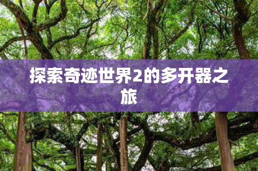 探索奇迹世界2的多开器之旅