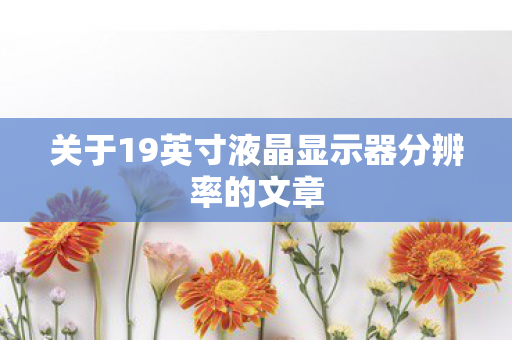 关于19英寸液晶显示器分辨率的文章