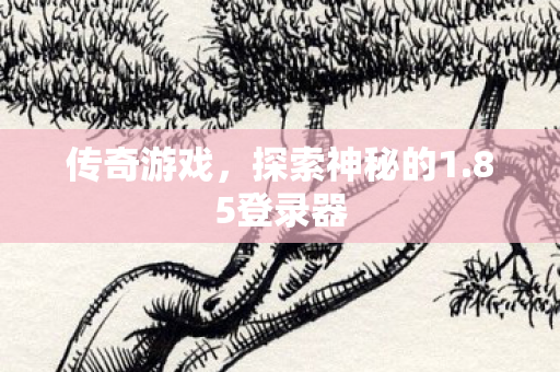 传奇游戏，探索神秘的1.85登录器