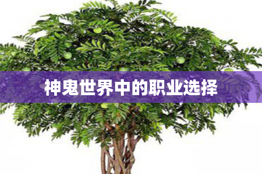 神鬼世界中的职业选择