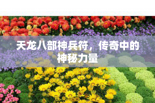 天龙八部神兵符，传奇中的神秘力量