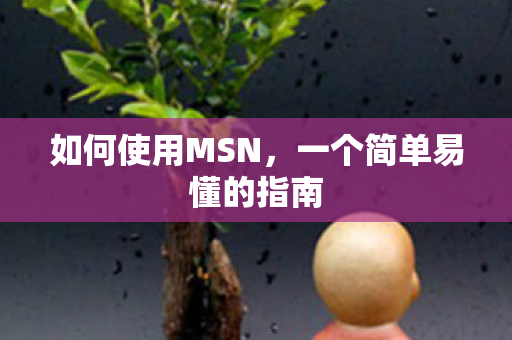 如何使用MSN，一个简单易懂的指南