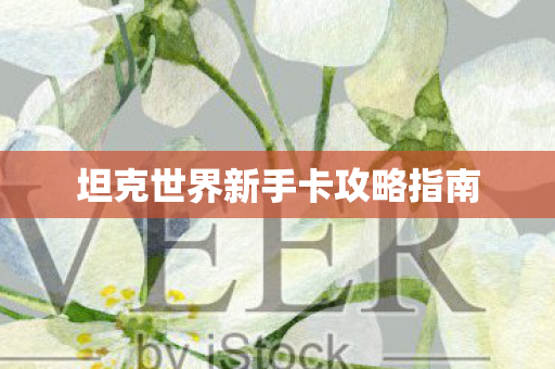 坦克世界新手卡攻略指南