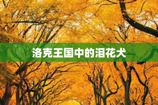 洛克王国中的泪花犬