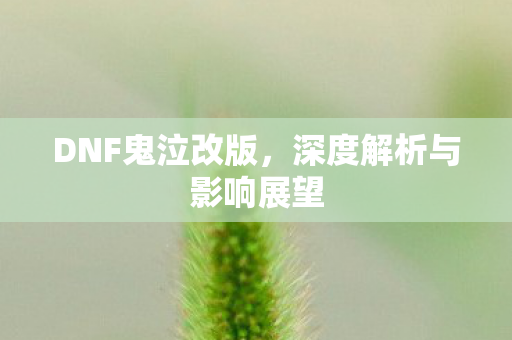 DNF鬼泣改版，深度解析与影响展望