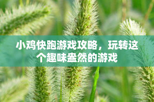 小鸡快跑游戏攻略，玩转这个趣味盎然的游戏