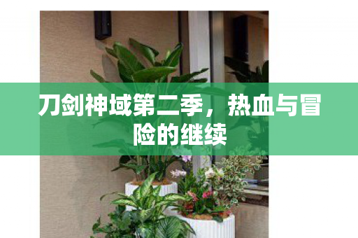 刀剑神域第二季，热血与冒险的继续