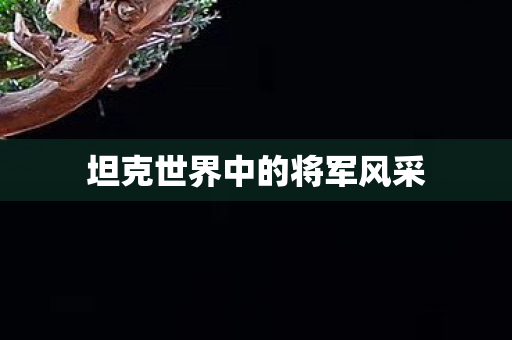 坦克世界中的将军风采