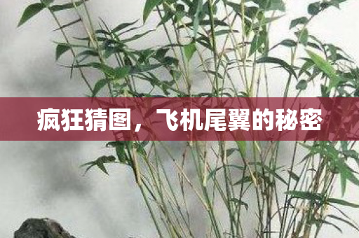 疯狂猜图，飞机尾翼的秘密