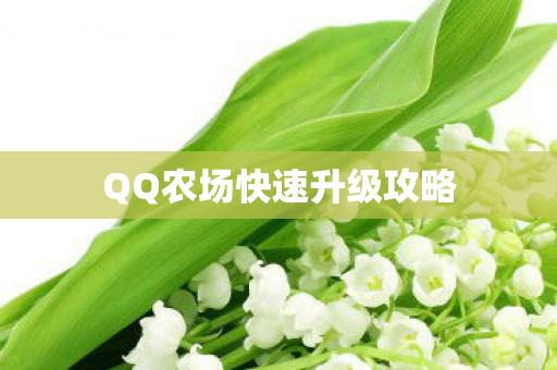 QQ农场快速升级攻略