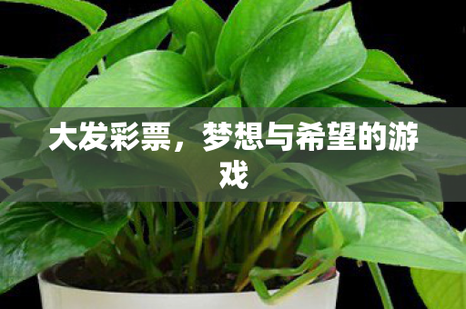 大发彩票，梦想与希望的游戏