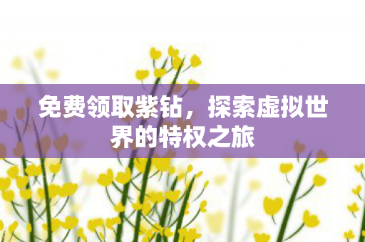 免费领取紫钻，探索虚拟世界的特权之旅