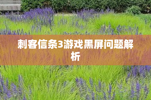 刺客信条3游戏黑屏问题解析