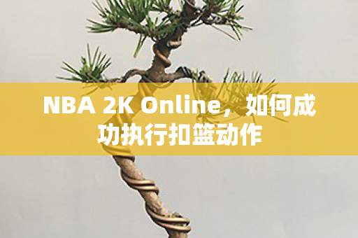 NBA 2K Online，如何成功执行扣篮动作