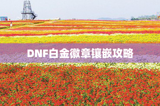 DNF白金徽章镶嵌攻略