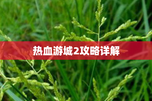 热血游城2攻略详解