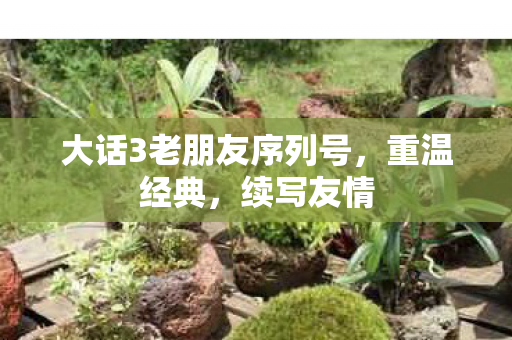 大话3老朋友序列号，重温经典，续写友情