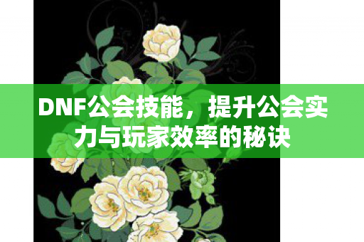 DNF公会技能，提升公会实力与玩家效率的秘诀