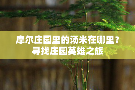 摩尔庄园里的汤米在哪里？寻找庄园英雄之旅