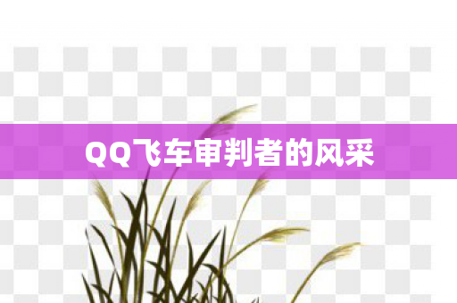 QQ飞车审判者的风采