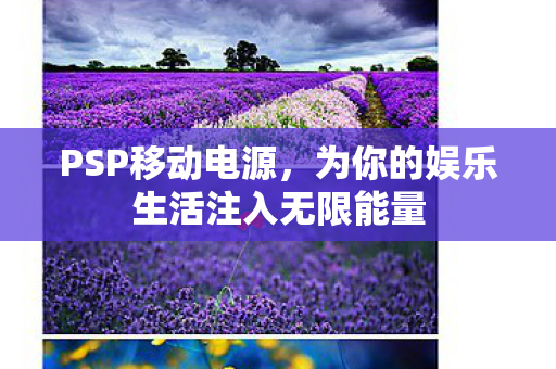 PSP移动电源，为你的娱乐生活注入无限能量
