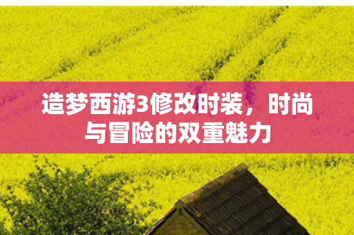 造梦西游3修改时装，时尚与冒险的双重魅力