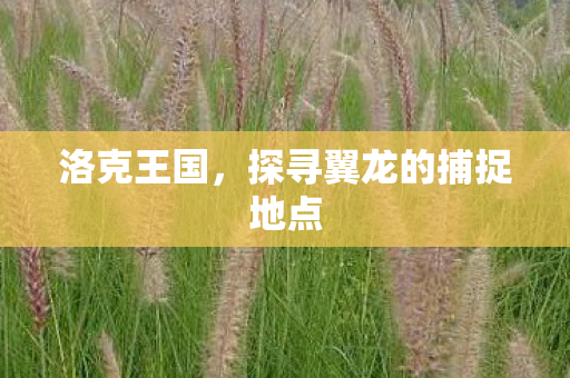 洛克王国，探寻翼龙的捕捉地点