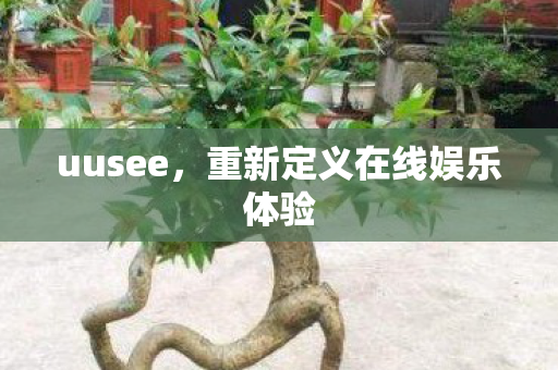 uusee，重新定义在线娱乐体验