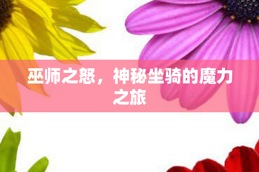 巫师之怒，神秘坐骑的魔力之旅