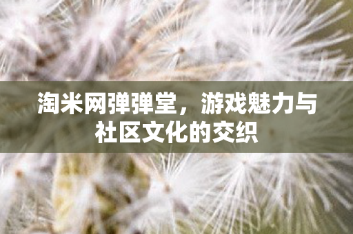 淘米网弹弹堂，游戏魅力与社区文化的交织