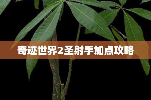 奇迹世界2圣射手加点攻略