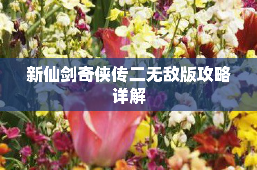 新仙剑奇侠传二无敌版攻略详解