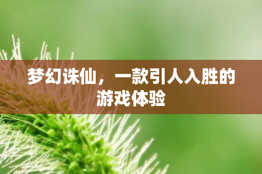 梦幻诛仙，一款引人入胜的游戏体验