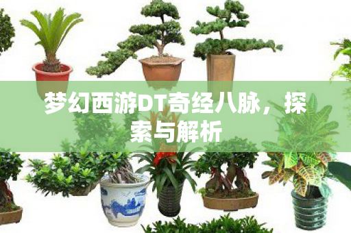 梦幻西游DT奇经八脉，探索与解析