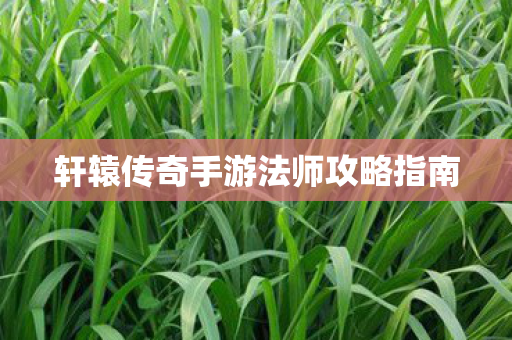 轩辕传奇手游法师攻略指南