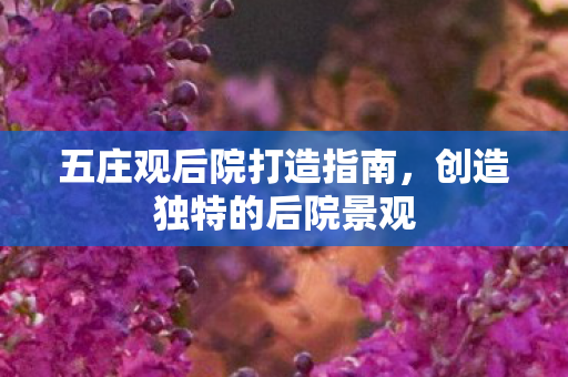 五庄观后院打造指南，创造独特的后院景观