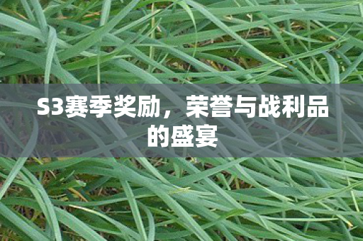 S3赛季奖励，荣誉与战利品的盛宴