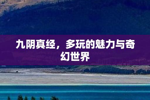 九阴真经，多玩的魅力与奇幻世界