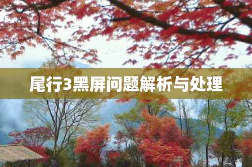 尾行3黑屏问题解析与处理