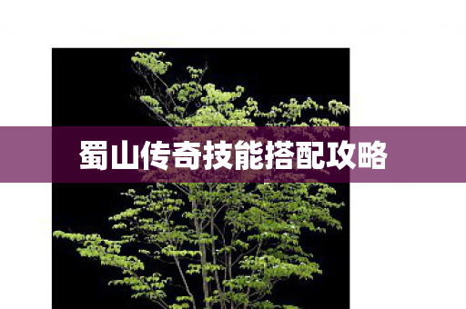 蜀山传奇技能搭配攻略