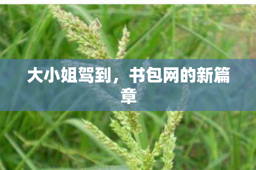 大小姐驾到，书包网的新篇章