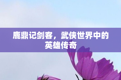 鹿鼎记剑客，武侠世界中的英雄传奇