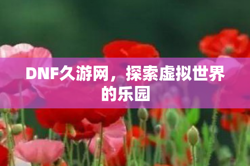 DNF久游网，探索虚拟世界的乐园