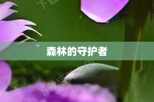 森林的守护者