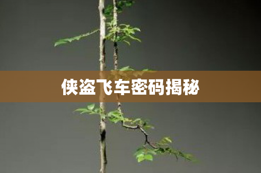 侠盗飞车密码揭秘