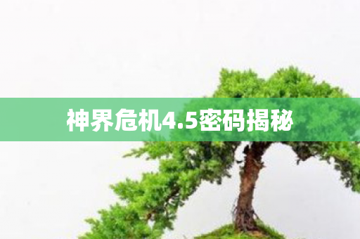 神界危机4.5密码揭秘
