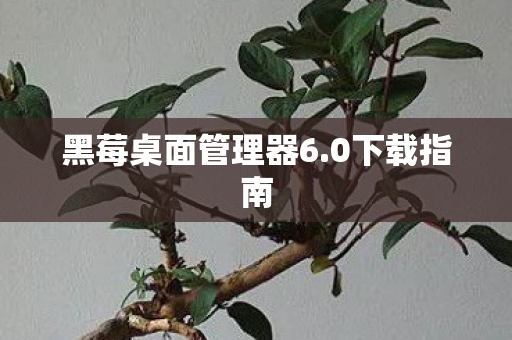 黑莓桌面管理器6.0下载指南