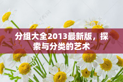 分组大全2013最新版，探索与分类的艺术