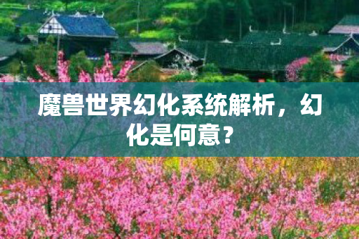 魔兽世界幻化系统解析，幻化是何意？