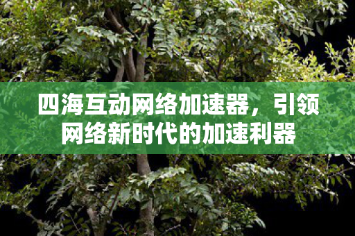 四海互动网络加速器，引领网络新时代的加速利器